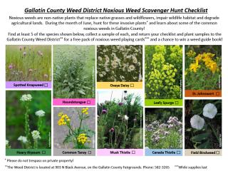 Noxious Weed Checklist